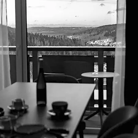 Hotel Forest Park & 4*