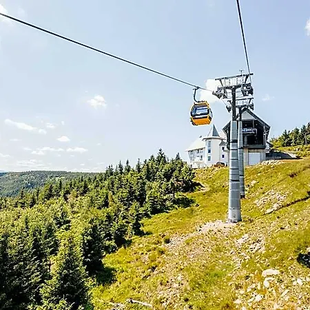 Hotel Forest Park & 4*